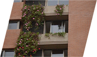 Proyecto a
