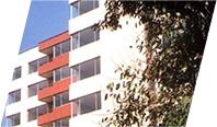 Proyecto a