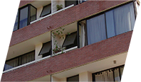 Proyecto a